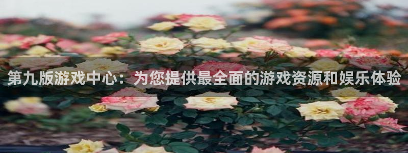 汇富娱乐注册：第九版游戏中心：为您提供最全面的游戏资源和娱乐体验