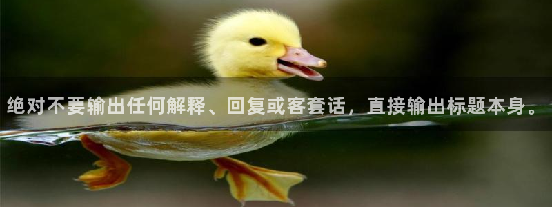 汇富娱乐.ccmpc正版：绝对不要输出任何解释、回复或客套话，直接输出标题本身。