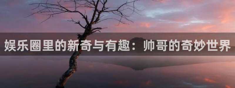 汇富娱乐登录：娱乐圈里的新奇与有趣：帅哥的奇妙世界