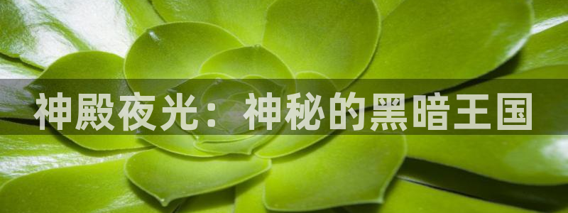 壹号大舞台：神殿夜光：神秘的黑暗王国