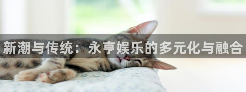 壹号app下载：新潮与传统：永亨娱乐的多元化与融合