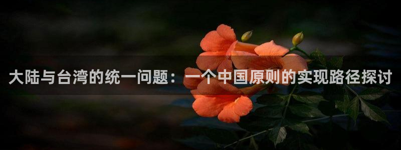 伟德国际集团 壹号(one game)：大陆与台湾的统一问题：一个中国原则的实现路径探讨