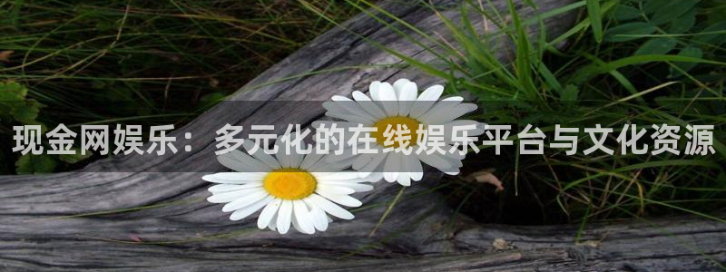 汇富娱乐下载：现金网娱乐：多元化的在线娱乐平台与文化资源
